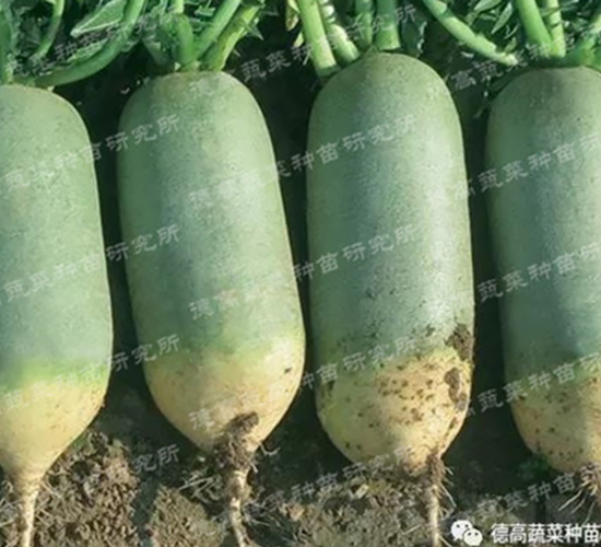 ˮ���}��-���-�}���N��-�¸߷N�I(y��)