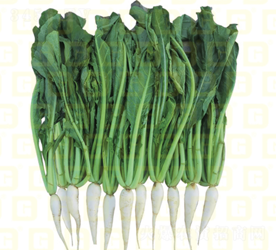 �~���}��-�¸�RS23-�}���N��-�¸߷N�I(y��)