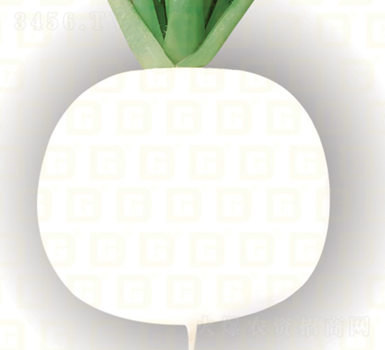 ���}��-�¸߰ٸ�-�}���N��-�¸߷N�I(y��)