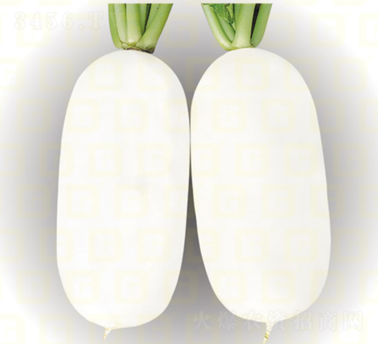 ���}��-�¸�ˮ��-�}���N��-�¸߷N�I(y��)