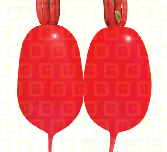 �tƤ�}��-�¸����o(j��)�t-�}���N��-�¸߷N�I(y��)