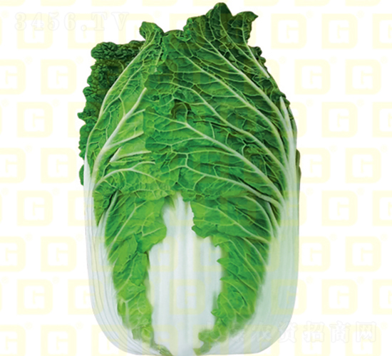 ������ײ�-�¸ߑc��-��ײ˷N��-�¸߷N�I(y��)