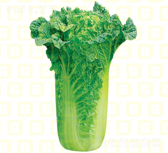 �����~���-�¸����A50-��ײ˷N��-�¸߷N�I(y��)