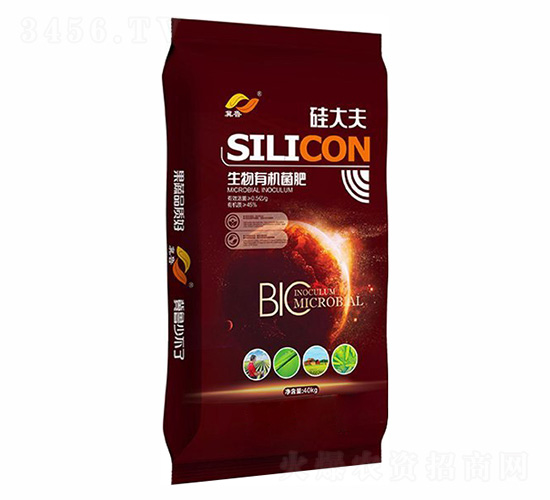 �����ЙC(j��)����-����-�����ʘI(y��)