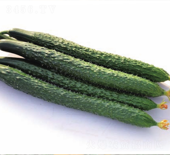 ��(qi��ng)��719-�S�ϷN��-����