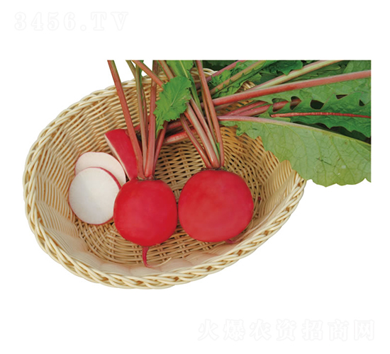 ����t��-�}���N��-�c�l(f��)��ʢ