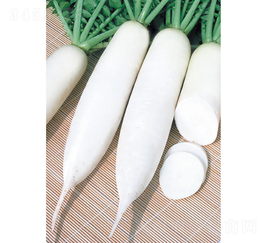 �������-�}���N��-�c�l(f��)��ʢ