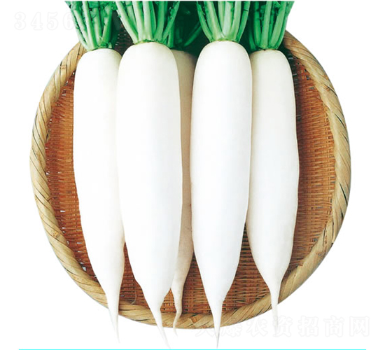 ����-�}���N��-�c�l(f��)��ʢ