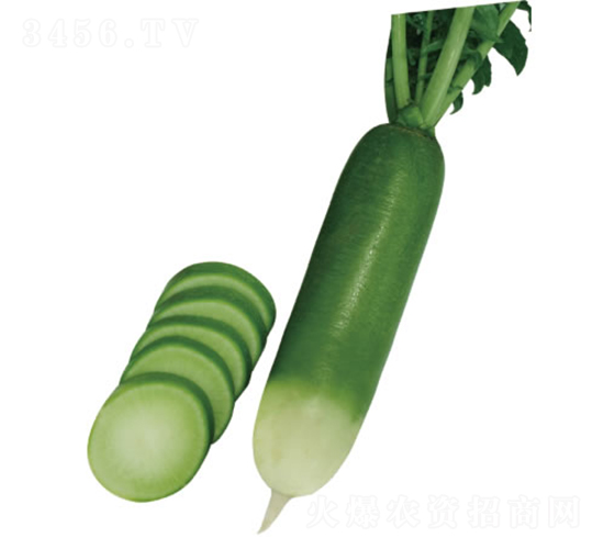 �G��-�}���N��-�c�l(f��)��ʢ