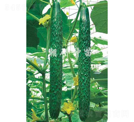 ����108-�S�ϷN��-���зN��