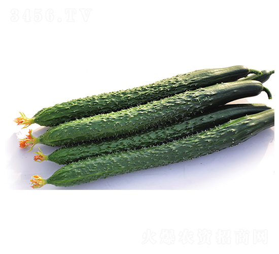 C1-�S�ϷN��-����