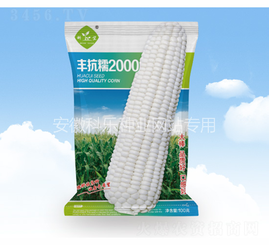 �S��Ŵ2000-�Ƙ��N�I(y��)