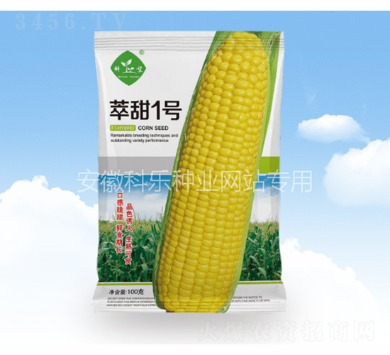 ����һ̖-�Ƙ��N�I(y��)