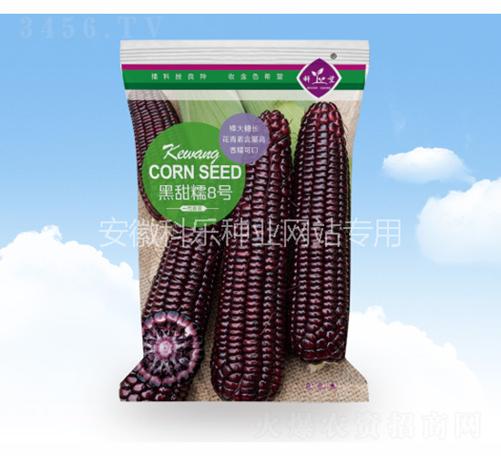 ����Ŵ8̖(h��o)-�Ƙ��N�I(y��)