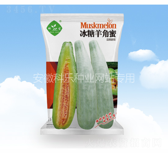 ���������-�Ƙ��N�I(y��)