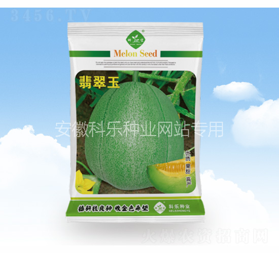 �����-�Ƙ�(l��)�N�I(y��)