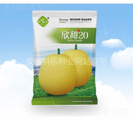 ����20-�Ƙ�(l��)�N�I(y��)