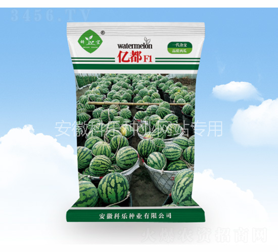 �|��-�Ƙ��N�I(y��)