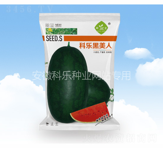 �Ƙ�������-�Ƙ��N�I(y��)