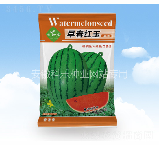 �紺�t��ڿڴ�-�Ƙ�(l��)�N�I(y��)