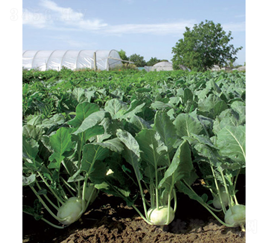 ������32-54��-�}���N��-���r(n��ng)�r(n��ng)�I(y��)