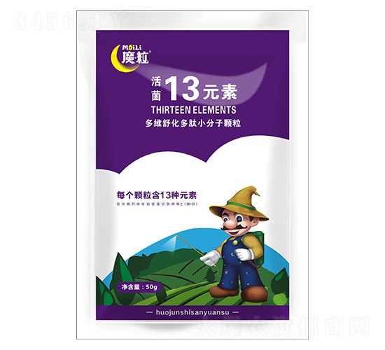 ���13Ԫ��-ħ������