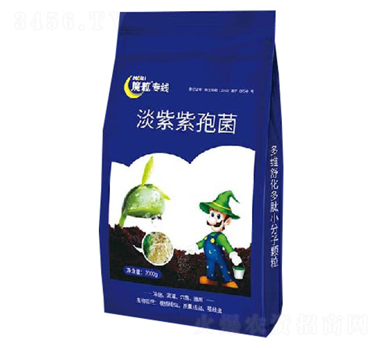 �������߾�-ħ������-ħ������