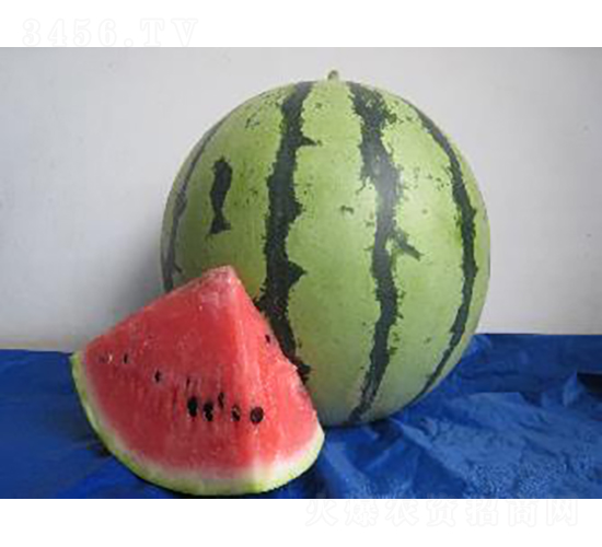 ����948-���ϷN��-�r�ƷN��