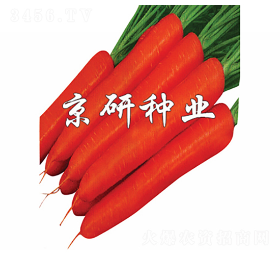 �����tо�ߴ�-���}���N��-���зN�I(y��)