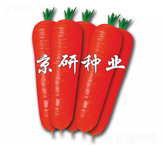 �tо90-���}���N��-���зN�I(y��)