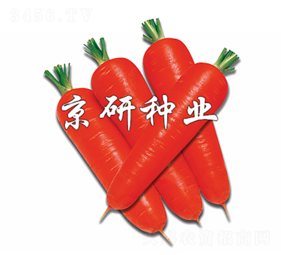 �tо95-���}���N��-���зN�I(y��)