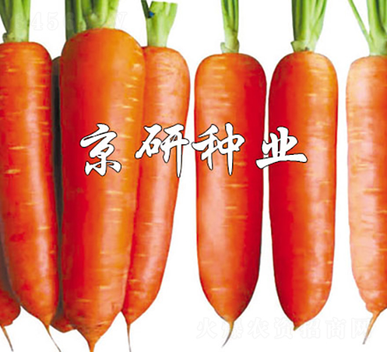 �A�u(y��)208-���}���N��-���зN�I(y��)