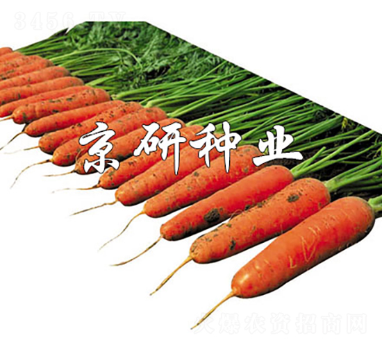 �A�u(y��)218-���}���N��-���зN�I(y��)