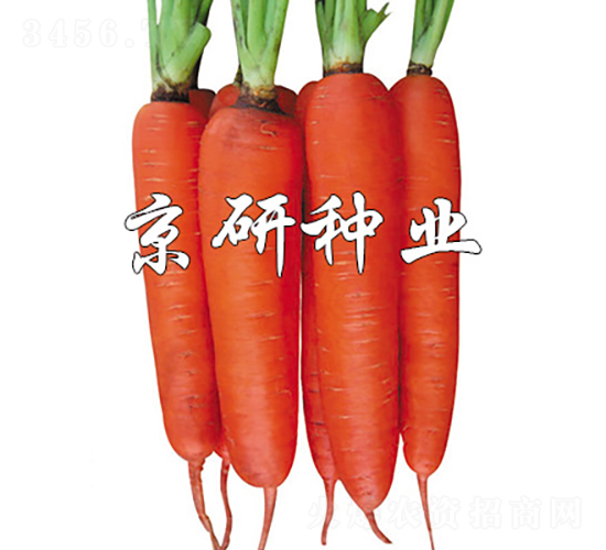 �A�u238-���}���N��-���зN�I(y��)