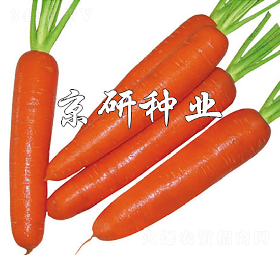 �A�u(y��)268-���}���N��-���зN�I(y��)