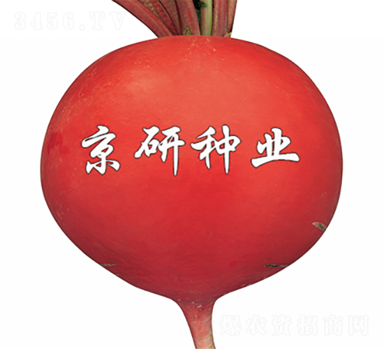 ���t3̖-�}���N��-���зN�I(y��)