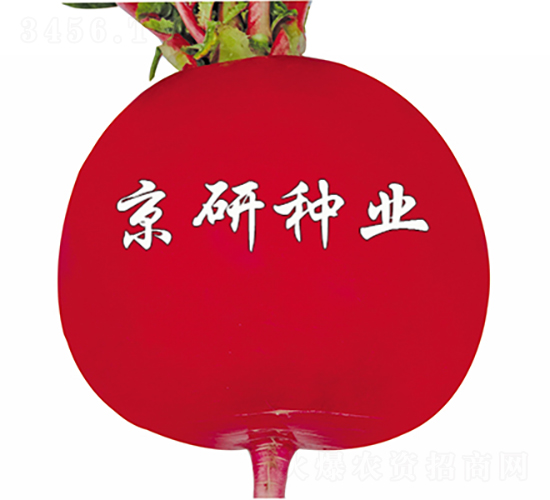 ���t6̖-�}���N��-���зN�I(y��)