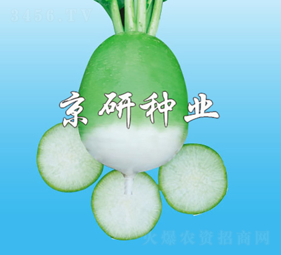 ����1̖(h��o)-�}���N��-���зN�I(y��)