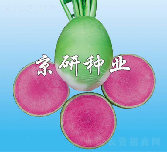 ����2̖����������ͣ�-�}���N��-���зN�I(y��)