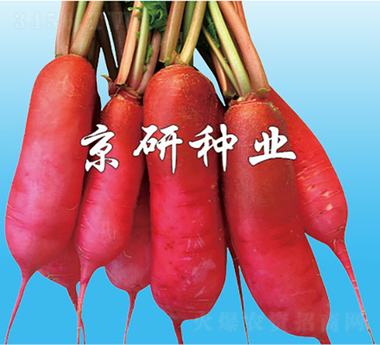 ����ˮ�}��-�}���N��-���зN�I(y��)