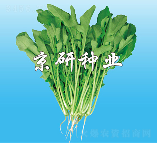 �����~���}��-�}���N��-���зN�I(y��)