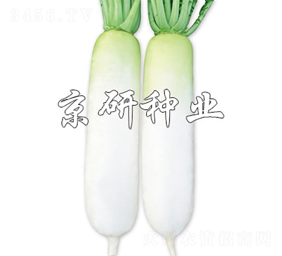 ��������-�}���N��-���зN�I(y��)