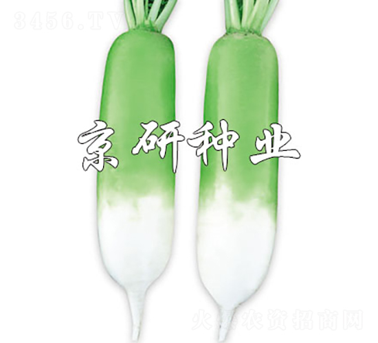 ���оG��-�}���N��-���зN�I(y��)