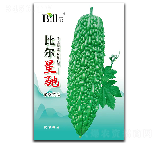 �Ƞ����Y-��ϷN��-�Ƞ��N��