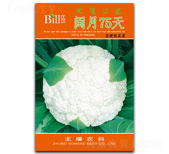 �}��75��-��Ҭ�˷N��-�Ƞ�