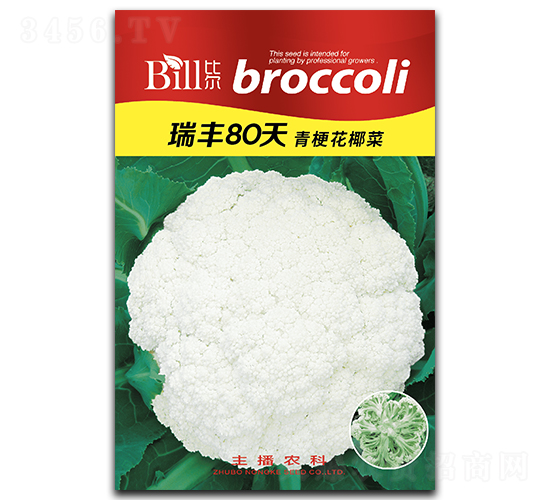 ���S80��-��Ҭ�˷N��-�Ƞ�