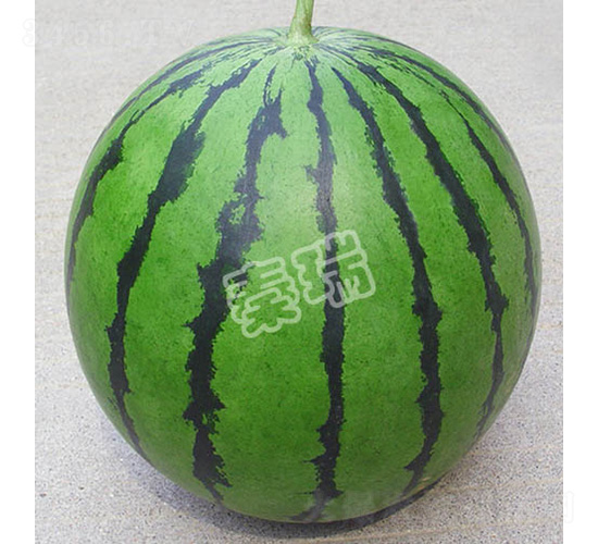 ��Ʒ����-���ϷN��-����