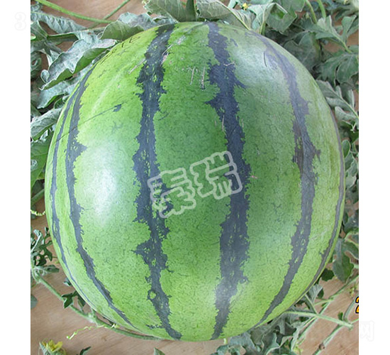 ���𳬰�-���ϷN��-����