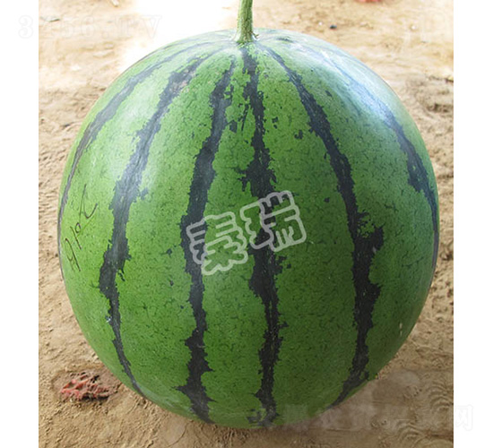 ����863-���ϷN��-����