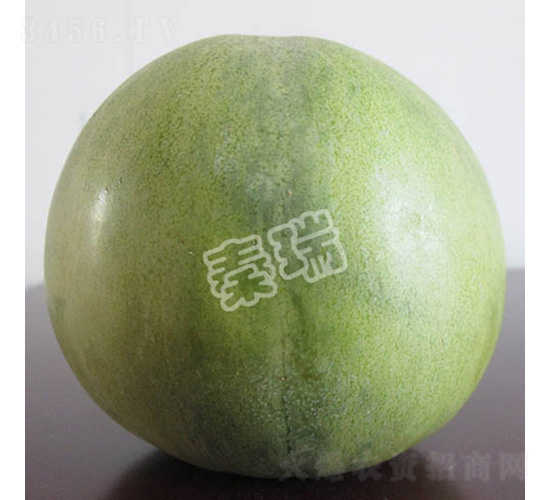 ��������-��ϷN��-����